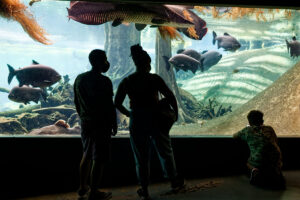 Cosmocaixa Museum, Barcelone - 2021