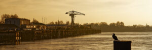 Nantes Estuaire - 2025